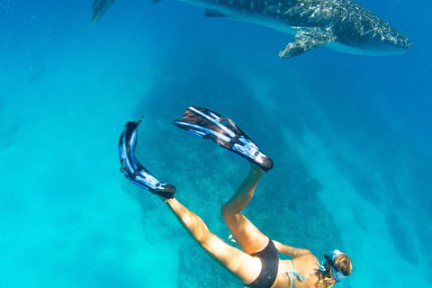 VIP Luxury Chartered Escapes, Exploring The Reef At Your Own Pace - Holiday Adelaide 26