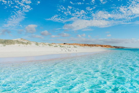 VIP Luxury Chartered Escapes, Exploring The Reef At Your Own Pace - Holiday Adelaide 36