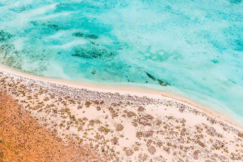 VIP Luxury Chartered Escapes, Exploring The Reef At Your Own Pace - Holiday Adelaide 4