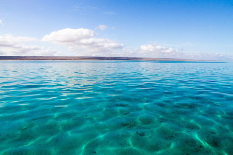 VIP Luxury Chartered Escapes, Exploring The Reef At Your Own Pace - Holiday Adelaide 32