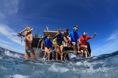 VIP Luxury Chartered Escapes, Exploring The Reef At Your Own Pace - Holiday Adelaide 17