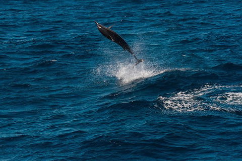 VIP Luxury Chartered Escapes, Exploring The Reef At Your Own Pace - Holiday Adelaide 42