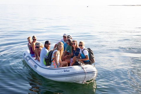 VIP Luxury Chartered Escapes, Exploring The Reef At Your Own Pace - Holiday Adelaide 43