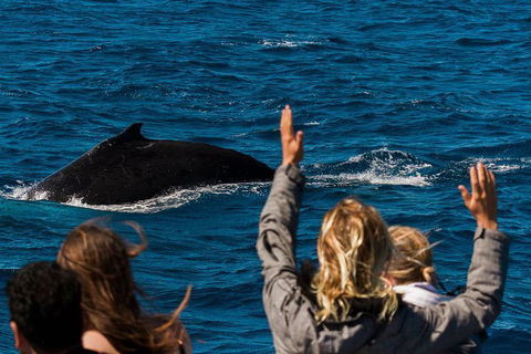 VIP Luxury Chartered Escapes, Exploring The Reef At Your Own Pace - Holiday Adelaide 21