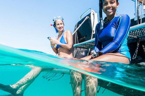 VIP Luxury Chartered Escapes, Exploring The Reef At Your Own Pace - Holiday Adelaide 24