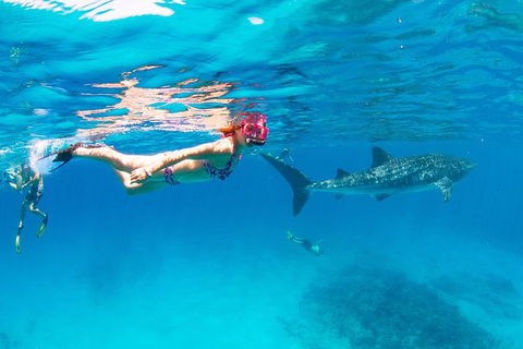 VIP Luxury Chartered Escapes, Exploring The Reef At Your Own Pace - Holiday Adelaide 35