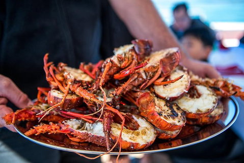 Mandurah Wild Seafood Adventure Cruise - Holiday Adelaide 1