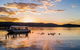Lake Argyle Sunset Magic Cruise Departing Kununurra - thumb 0
