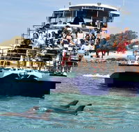 Mandurah Dolphin and Scenic Marine Cruise - Holiday Adelaide