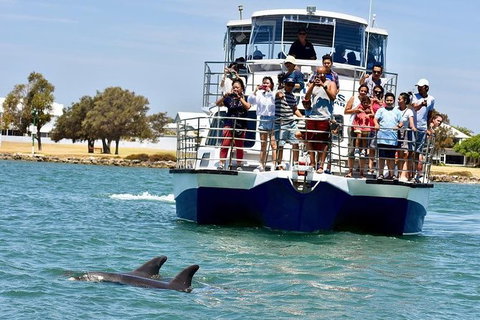 Mandurah Dolphin And Scenic Marine Cruise - Holiday Adelaide 0