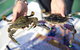 Mandurah Dolphin And Scenic Marine Cruise - thumb 15