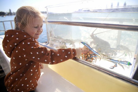 Mandurah Dolphin And Scenic Marine Cruise - Holiday Adelaide 5