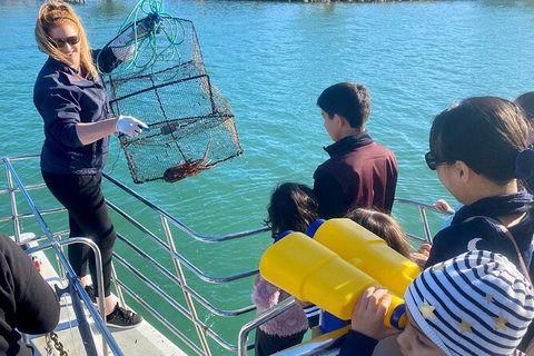 Mandurah Dolphin And Scenic Marine Cruise - Holiday Adelaide 18