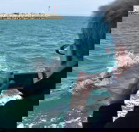 Mandurah Dolphin Island Adventure - Holiday Adelaide