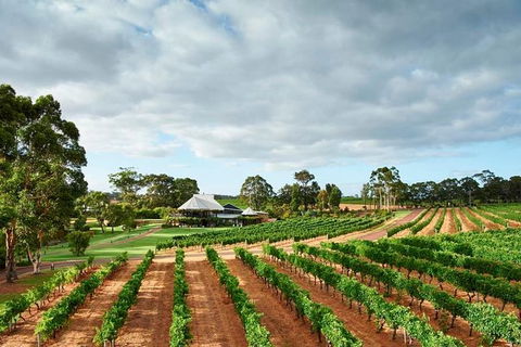 Vasse Felix Winery Tour And Tasting - Holiday Adelaide 0