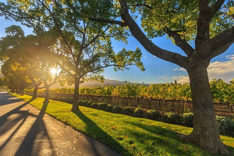 VIP Swan Valley Wine Tour - Premium Small Group Wine & Gourmet Experience - Holiday Adelaide 1