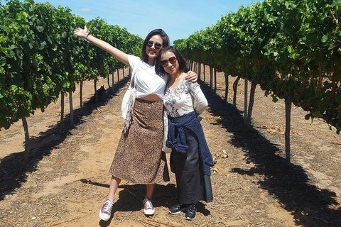 VIP Swan Valley Wine Tour - Premium Small Group Wine & Gourmet Experience - Holiday Adelaide 3
