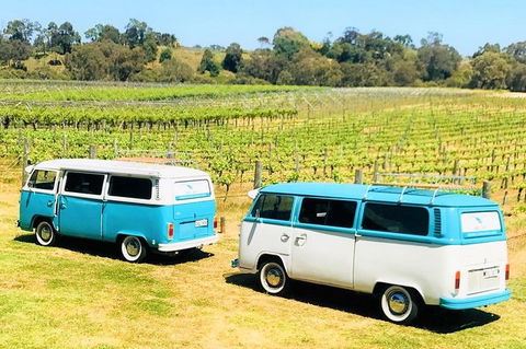 VW Kombi Wine Tour In The Swan Valley - Holiday Adelaide 6