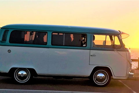 VW Kombi Wine Tour In The Swan Valley - Holiday Adelaide 5
