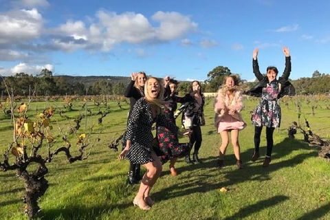 VW Kombi Food, Wine And More Tour (bring The Kids!) - Holiday Adelaide 3