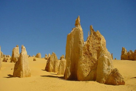 Half Day Pinnacles Sunset Tour - Holiday Adelaide 5