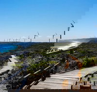 Torndirrup National Park and Bay Highlights - Holiday Adelaide