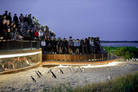 1 Day Private Phillip Island Tour (VIP Charter Up To 9 People) - Holiday Adelaide 0