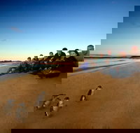 Phillip Island Ultimate Penguin Eco Tour or Skybox Experience - Holiday Adelaide