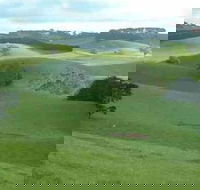 Day Tour of Phillip Island  Surrounding Region - Holiday Adelaide