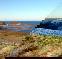Phillip Island Walking  Bird Watching Tour - Holiday Adelaide