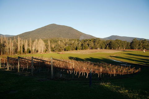 Half Day Yarra Valley Winery Day Trip From Melbourne - Holiday Adelaide 6