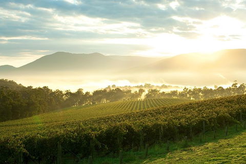 Yarra Valley Private Tour Including Healesville Sanctuary And Wineries - Holiday Adelaide 0