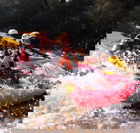 Whitewater Sports rafting on the Yarra river - Holiday Adelaide