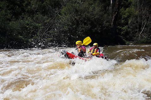 Whitewater Sports Rafting On The Yarra River - Holiday Adelaide 5
