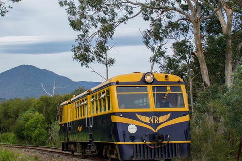 Steam Train, Yarra Valley & Healesville Wildlife Sanctuary Full Day Tour - Holiday Adelaide 3