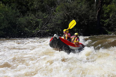White-Water Kayaking On The Yarra River - Holiday Adelaide 1