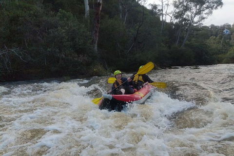 White-Water Kayaking On The Yarra River - Holiday Adelaide 5