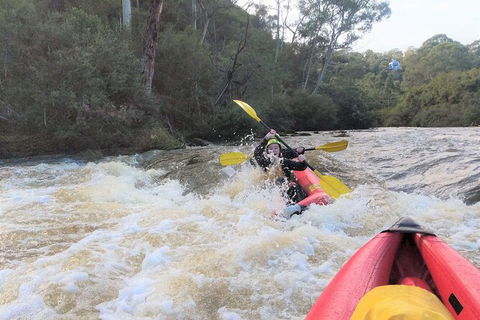 White-Water Kayaking On The Yarra River - Holiday Adelaide 3