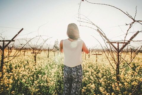 Yarra Valley Rainforest Hike And Winery Tour - Holiday Adelaide 0