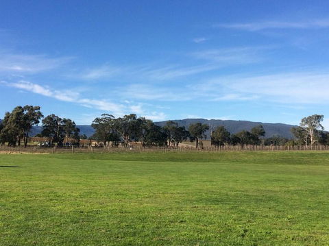 Yarra Valley Wineries And Puffing Billy Steam Train Tour From Melbourne - Holiday Adelaide 17