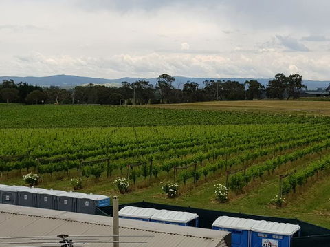 Yarra Valley Wineries And Puffing Billy Steam Train Tour From Melbourne - Holiday Adelaide 4