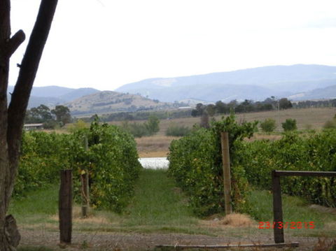Yarra Valley Wineries And Puffing Billy Steam Train Tour From Melbourne - Holiday Adelaide 25