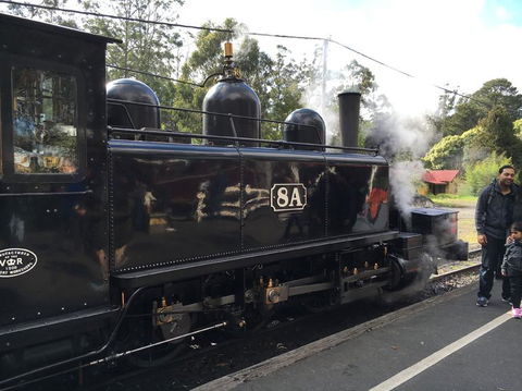 Yarra Valley Wineries And Puffing Billy Steam Train Tour From Melbourne - Holiday Adelaide 13
