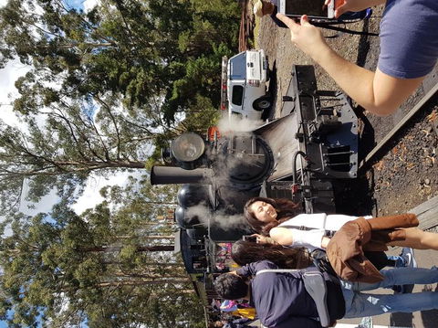 Yarra Valley Wineries And Puffing Billy Steam Train Tour From Melbourne - Holiday Adelaide 5