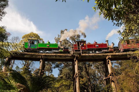 Yarra Valley Wineries And Puffing Billy Steam Train Tour From Melbourne - Holiday Adelaide 32