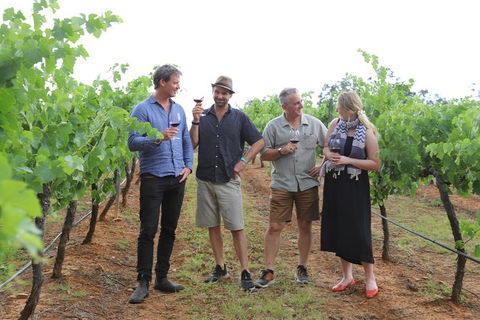 Yarra Valley Wineries And Puffing Billy Steam Train Tour From Melbourne - Holiday Adelaide 29