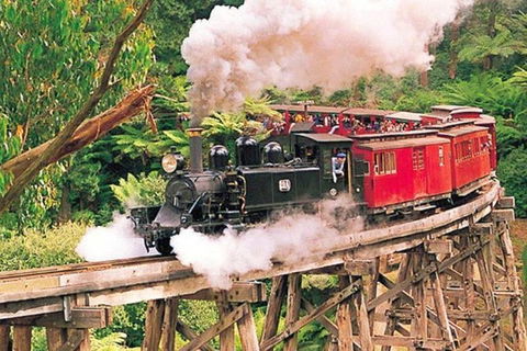 Yarra Valley Wineries And Puffing Billy Steam Train Tour From Melbourne - Holiday Adelaide 33