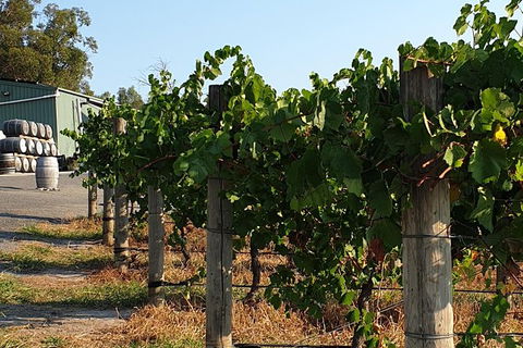 Wine Tasting Tour In The Yarra Valley - Holiday Adelaide 0