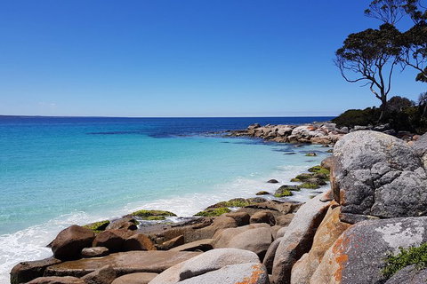 Tasmania 6 Day \'Tour In Circle\' - Holiday Adelaide 4