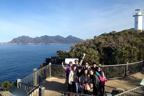 Wineglass Bay And Freycinet National Park Active Day Trip From Hobart - Holiday Adelaide 1